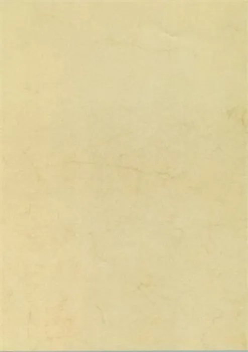 Hauptproduktbild Papír, textura Havana, A4, 90 g, APLI [100 listů]