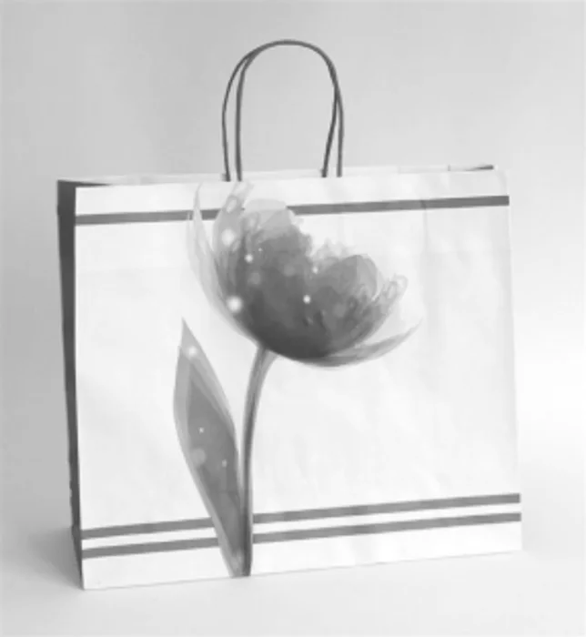 Hauptproduktbild Papírová taška dárková 35x13x31 cm tulipán