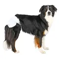 Weiteres Produktbild Papierwindeln für Hündinnen (12 Stück/Packung) M: 32-48 cm