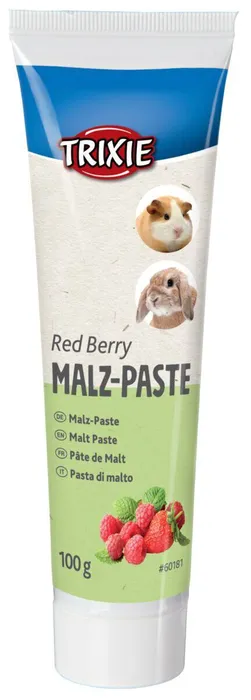 Hauptproduktbild Pasta sladová Multifruit pro hlodavce 100 g