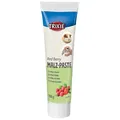 Multifrucht-Malzpaste für Nagetiere 100 g