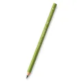 Buntstift Faber-Castell Polychromos - Grüntöne 168