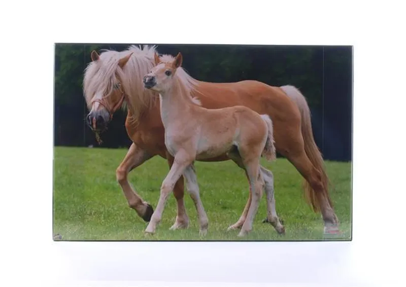 Hauptproduktbild Podložka na stůl "Koně", 580x380 mm, LS
