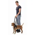 Weiteres Produktbild Stützhilfe beim Gehen M 55-65 cm schwarz