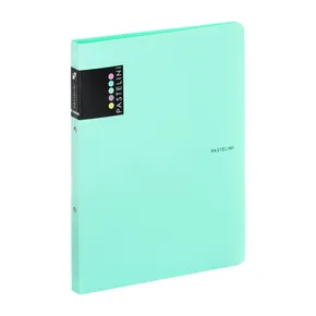 Binder PP A4 2 Cr. PASTELIN grün
