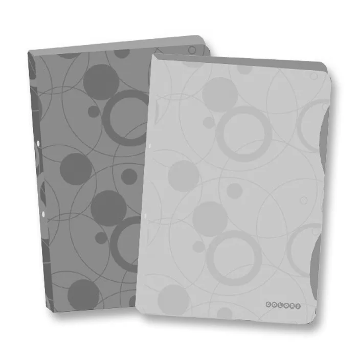 Hauptproduktbild Pořadač PP A4 4kr. Duo Colori