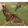 Weiteres Produktbild Geschirr Becky M: Halsumfang 50 cm