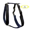 Geschirr Becky L: Halsumfang 55 cm