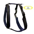 Weiteres Produktbild Becky S-Geschirr: Halsumfang 45 cm