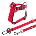Weiteres Produktbild Autogeschirr für eine Katze 20–50 cm