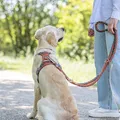 Weiteres Produktbild Postroj PREMIUM ACTIVE, rezavá L: 69-87 cm/ 25 mm