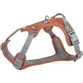 Postroj PREMIUM ACTIVE, rezavá S-M: 39-56 cm/ 15 mm