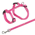 Weiteres Produktbild Katzengeschirr mit Leine XL GOOD LUCK 34-57cm/13mm