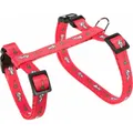 Geschirr mit Leine für Kaninchen - Motiv 25-44/1cm 1,25m