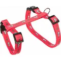 Geschirr mit Leine für Kaninchen - Motiv 25-44/1cm 1,25m