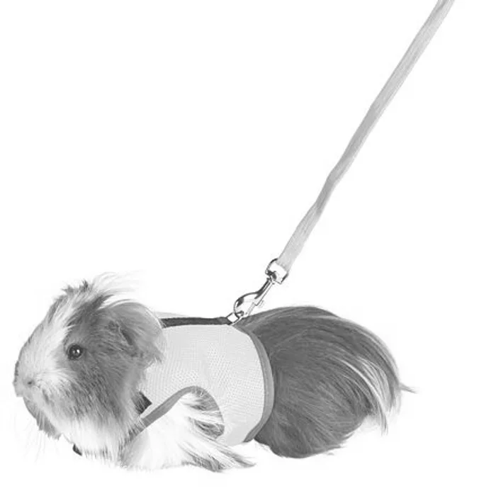 Hauptproduktbild Postroj VESTA s vodítkem pro morče 18-25cm/1,2m