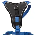 Weiteres Produktbild Geschirr Y PREMIUM – Königsblau – SALE XS: Brustumfang: 33–42 cm/10 mm