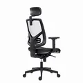 Powerton Ergonomischer Bürostuhl Tina, Schwarz