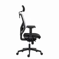Powerton Ergonomischer Bürostuhl Tina, Schwarz