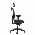 Powerton Ergonomischer Bürostuhl Tina, Schwarz