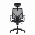 Powerton Ergonomischer Bürostuhl Tina, Schwarz