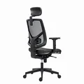 Powerton Ergonomischer Bürostuhl Tina, Grau
