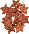 PREMIO Xmas Stars, vánoční pamlsek kachna s rýží, 100 g