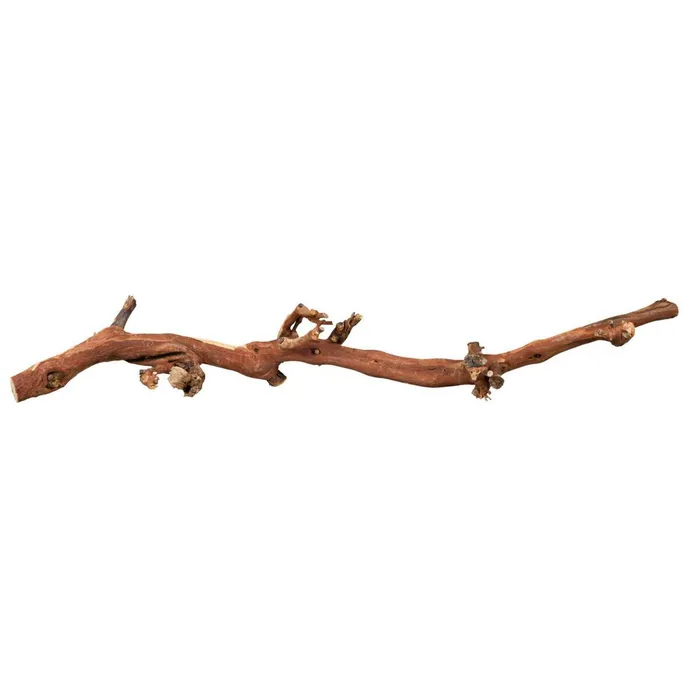 Hauptproduktbild Přírodní dekorace do terária, větev z vinné révy L 40-60cm