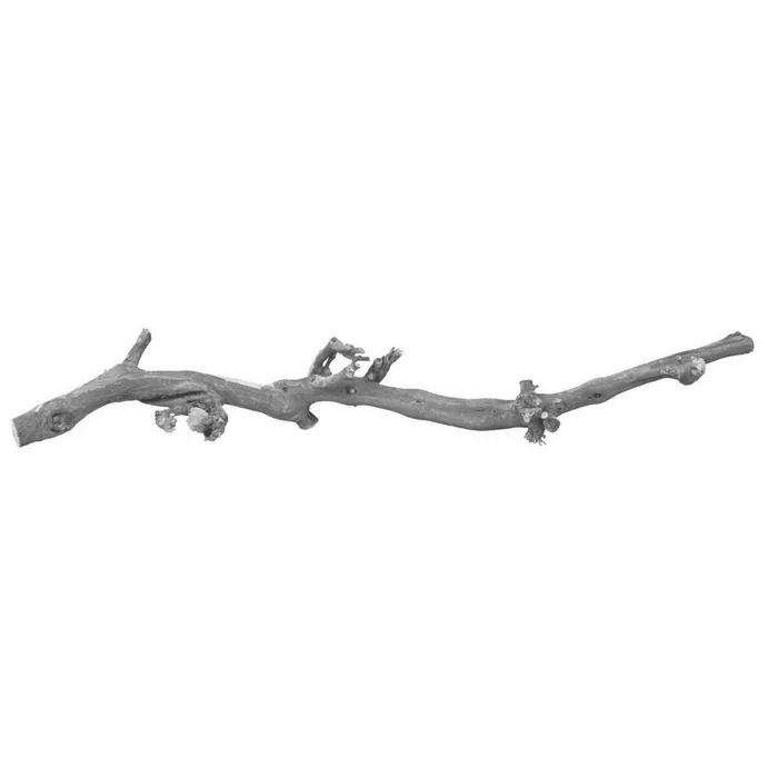Hauptproduktbild Přírodní dekorace do terária, větev z vinné révy L 40-60cm