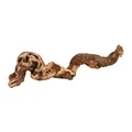 Natürliche Terrariendekoration, Weinzweig M 30-40cm