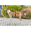 Weiteres Produktbild Protipanický adaptér STAY na postroj, černáS-M: 38-57 cm/ 15 mm