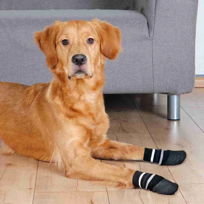 Hauptproduktbild Protiskluzové ponožky černé, 2 ks pro psy bavlna/lycra S-M: např. sheltie