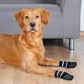Weiteres Produktbild Rutschfeste Socken schwarz, 2 Stück für Hunde Baumwolle/Lycra XS-S: z.B. Zwergpinscher