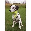 Weiteres Produktbild Reflektierender Schal für Hunde TRIXIE XS-S, Halsumfang: 22-28 cm