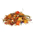 REPTILAND Naturfuttermischung für Agamen, 100 g