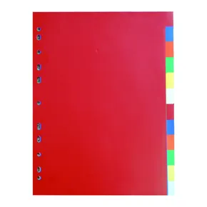 Trennblatt A4, 2x6 Farben PP 120my