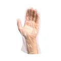 Handschuh (HDPE) Einweg transparent `L` [100 x 100 St.]