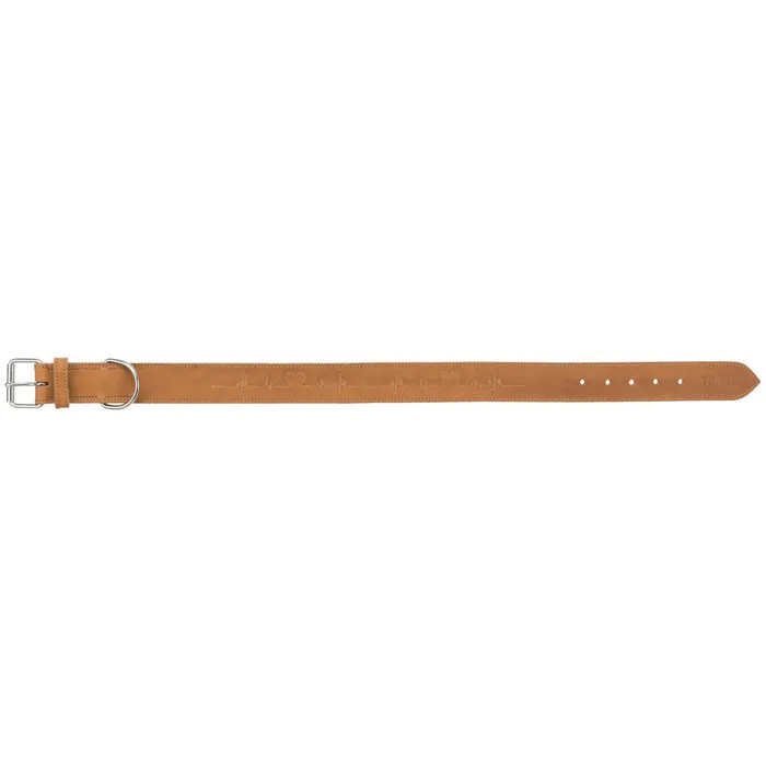 Hauptproduktbild Rustic kožený obojek Heartbeat - hnědá M:38-47cm/40mm