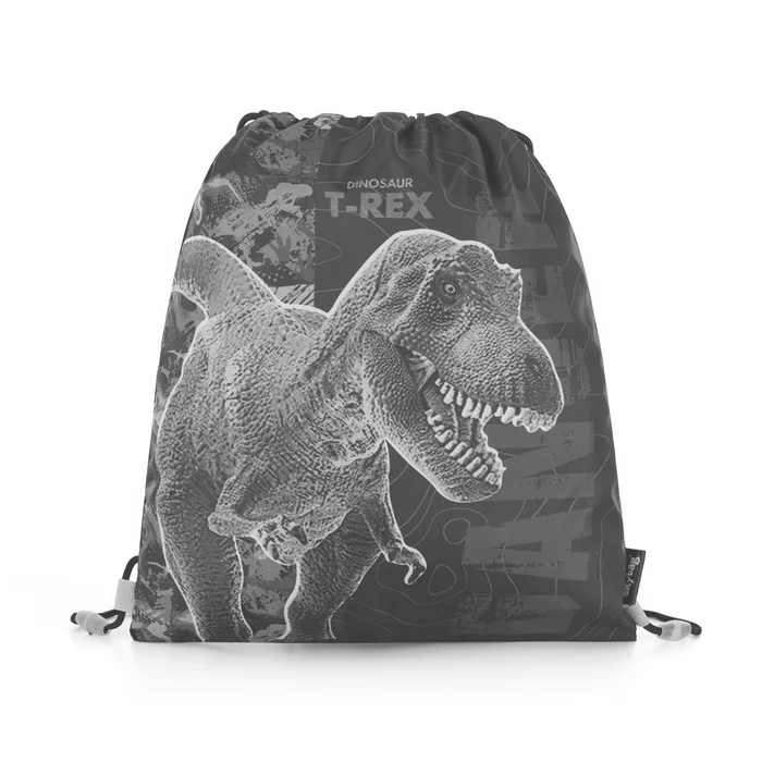 Hauptproduktbild Sáček na cvičky Premium Dinosaurus