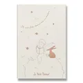Sada Moleskine Le Petit Prince L, zápisník a diář, sběratelská edice