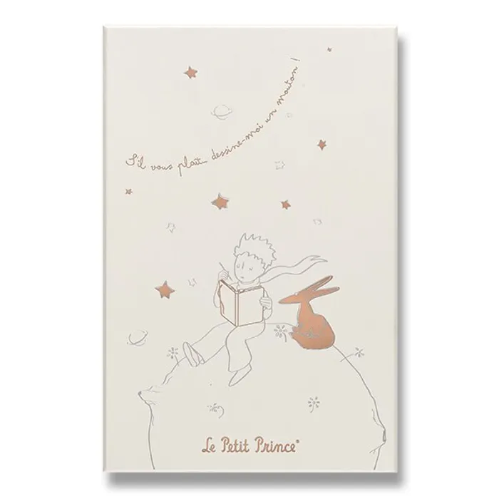 Hauptproduktbild Sada Moleskine Le Petit Prince L, zápisník a diář, sběratelská edice