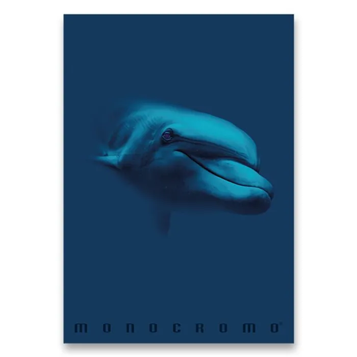 Hauptproduktbild Školní sešit Monocromo Blue A4, linkovaný, 40 listů, mix motivů