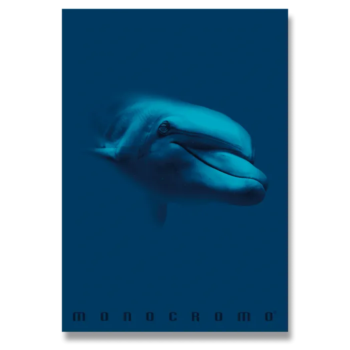Hauptproduktbild Školní sešit Monocromo Blue A5, linkovaný, 42 listů, mix motivů