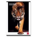 Weiteres Produktbild Schulheft Pigna Animal A4, liniert, 40 Blatt, Motivmix
