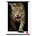 Weiteres Produktbild Schulheft Pigna Animal A4, liniert, 40 Blatt, Motivmix