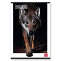 Weiteres Produktbild Schulheft Pigna Animal A4, liniert, 40 Blatt, Motivmix