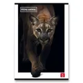 Weiteres Produktbild Schulheft Pigna Animal A4, liniert, 40 Blatt, Motivmix
