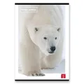Weiteres Produktbild Schulheft Pigna Animal A4, liniert, 40 Blatt, Motivmix