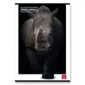 Weiteres Produktbild Schulheft Pigna Animal A4, liniert, 40 Blatt, Motivmix