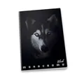 Schulheft Pigna Monocromo Black A5, liniert, Motivmix